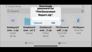 FHIR On iOS via its browser, NO App needed for Patient Download or Access screenshot 2