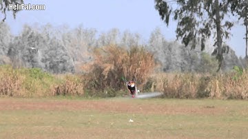 Walkera V120D03 3D Flight