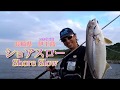 ショアスロー×伊王島 沼田純一のショアスロー