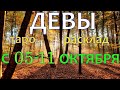 ГОРОСКОП ДЕВЫ С 05 ПО 11 ОКТЯБРЯ НА НЕДЕЛЮ.2020