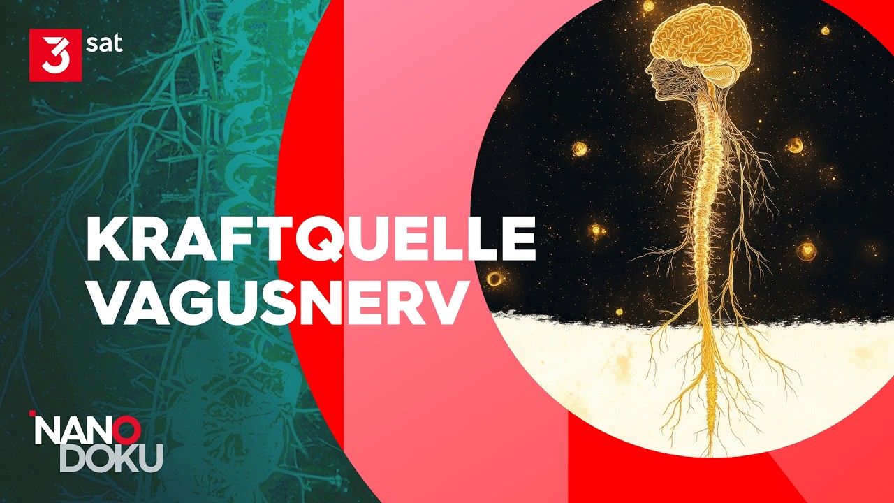 Unterschätzter Schlüssel zur Selbstheilung | Ganze Doku