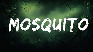 1 Hour |  PinkPantheress - Mosquito (Lyrics)