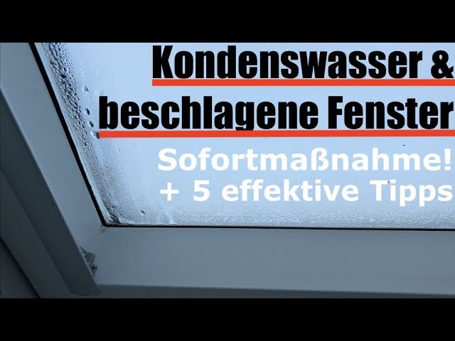 Kondenswasser: Fenster innen beschlagen - was tun & wie vermeiden 