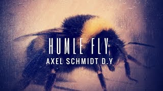 Axel Schmidt D.Y - "Humle fly" januar 2016 (singel)