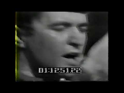 Human Beings - Shivaree Show
