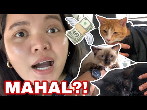 Video: Bakuna Sa Kuting - Iskedyul Ng Pagbabakuna Para Sa Mga Pusa