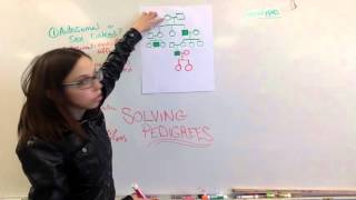 Reading Pedigrees