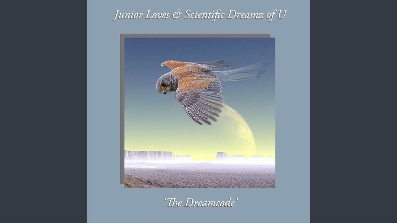 Empathy Field Generation (7AM Affirmation)