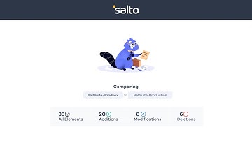 Improve your NetSuite customization experience with Salto