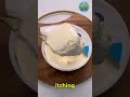 Amazing Food Facts You Must Know 🤯🍽️ | Health Tips #Shorts