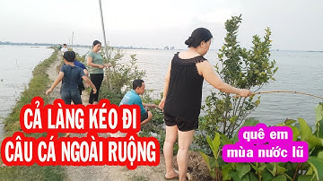 Cả làng ùa ra đồng câu cá rô đồng mùa nước lũ | Nhat ky 365
