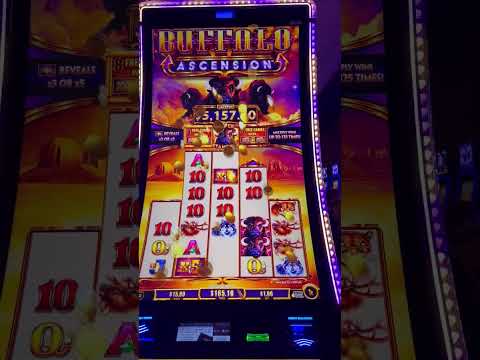 Hard Rock Hotel Punta Cana - TOUR COMPLETO | ¿EL MEJOR HOTEL DE PUNTA CANA?