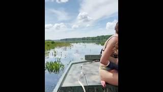 Mud boat crash