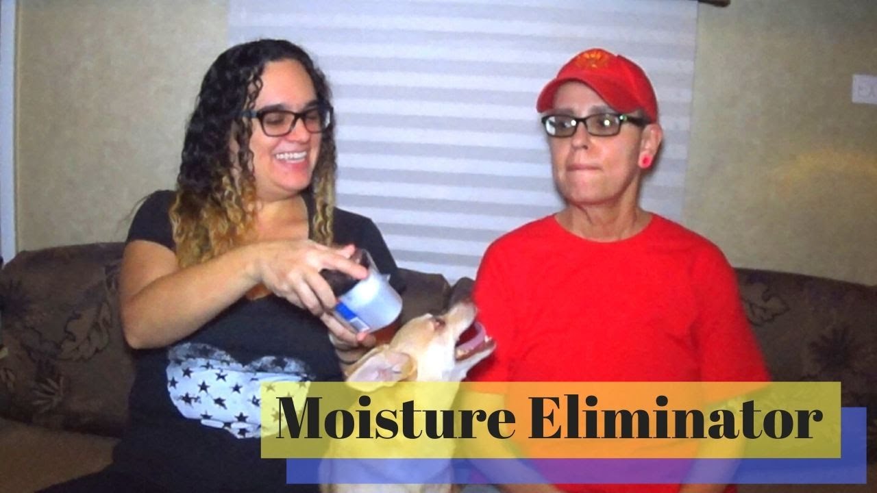 Prevent RV Water Damage ⁞ Humidity Water Collector ⁞S2E16