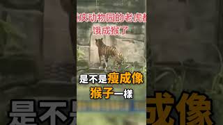 中共經濟問題與官員貪腐