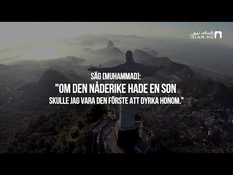 Surah Az-Zukhruf (81-89) - Kamal Abdullah