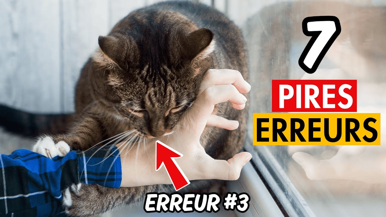 7 ERREURS FATALES que vous faites avec votre chat (sans le savoir) ❌🐱