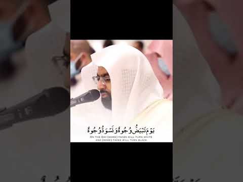 يوم تبيض وجوه وتسود وجوه قرآنيات قصيرة بصوت ناصر القطامي