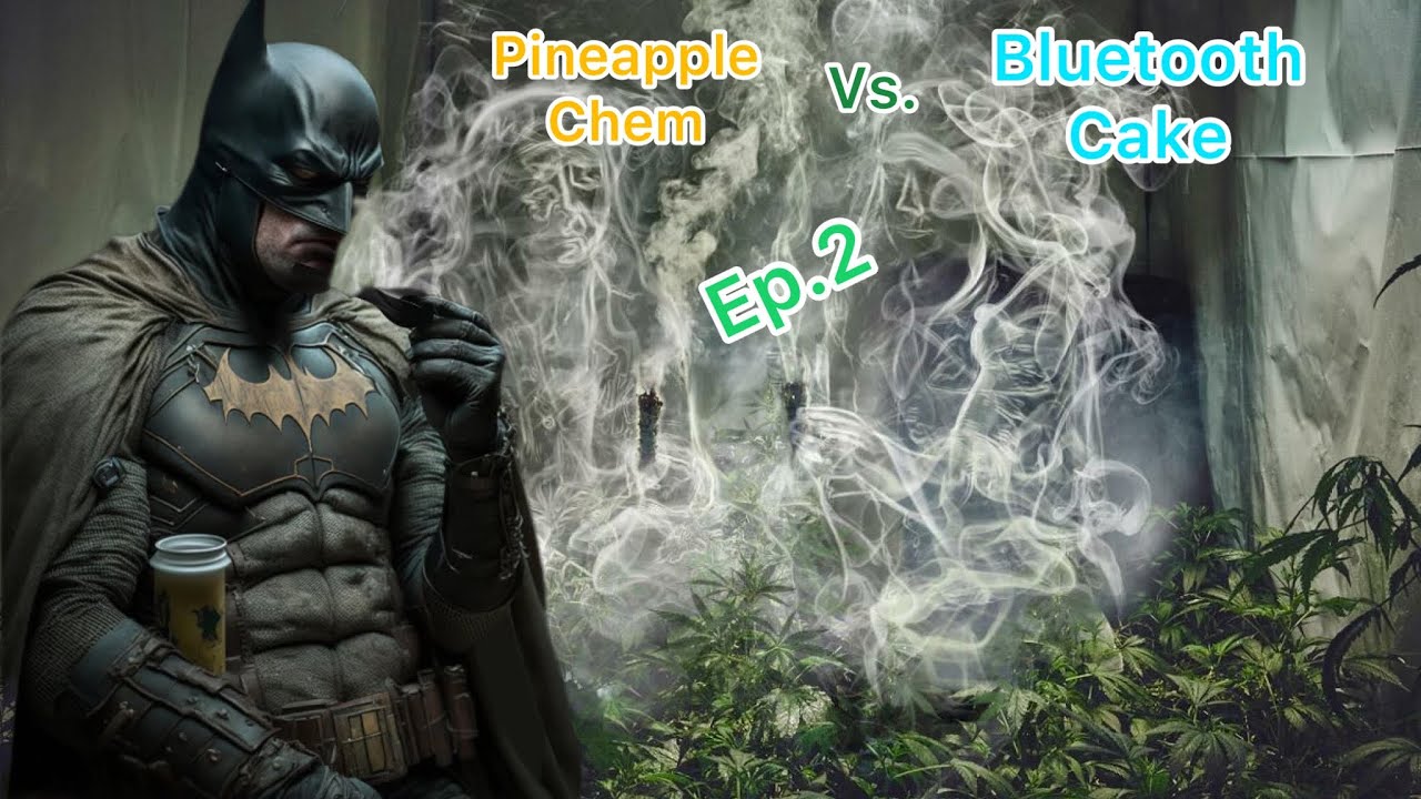 Battle of the strains Ep.2