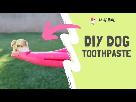 DIY Dog Toothpaste: How To Make Homemade Toothpaste For Your Pup!