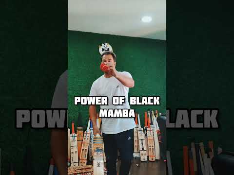 Black Mamba Hard Tennis | Kwesports