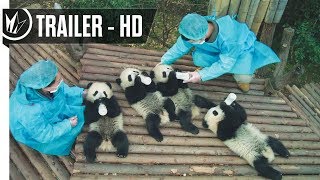 Pandas  Trailer #1 (2018) -- Regal Cinemas [HD]
