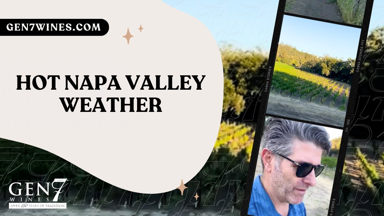 HOT Napa Valley Weather