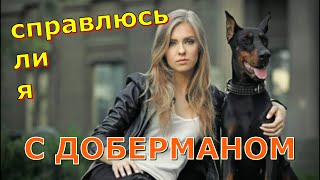 видео: Хозяин добермана. Каким он должен быть картинка: Хозяин добермана. Каким он должен быть