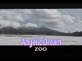 (カラオケ)Angelic Dream / ZOO