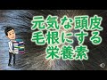 【AGA対策】元気な頭皮、毛根にする栄養素。抜け毛、薄毛に悩んでいるのはあなただけじゃない。髪の毛に必要な栄養素を亜鉛　鉄　ビタミンC　ビタミンE　イソフラボンを紹介していきます。