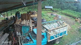 (VIDEO COMPILATION) Earthquake in Mexico 7.7 (Michoacán) 09/19/2022 (Part 2)