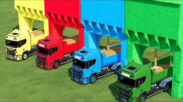 TRANSPORT OF COLORS ! TRANSPORTING WHEAT FROM SILO TO SILO WITH MAN TRUCKS ! Farming Simulator 22