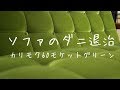 ソファのダニ退治でアイロンスチームを使う（カリモク60モケットグリーン）