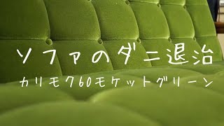 ソファのダニ退治でアイロンスチームを使う（カリモク60モケットグリーン）