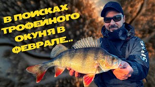 МЫ ЕГО НАШЛИ!😱ЗА ТРОФЕЙНЫМ ОКУНЁМ!Рыбалка на джиг.Зимний спиннинг.Братья Билан.