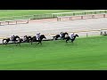 東京競馬場 5階指定席～イクイノックス全妹～4コーナー 2025.10.12