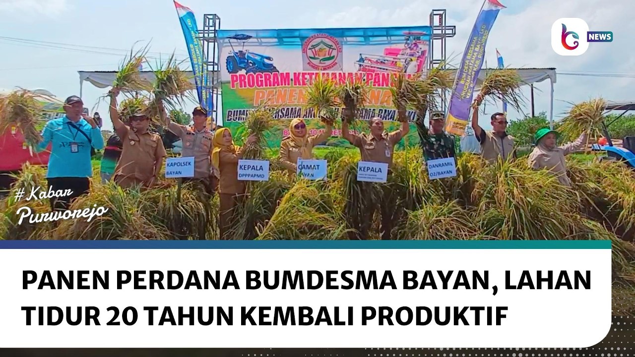 Panen Perdana BUMDesma Bayan, Lahan Tidur 20 Tahun Kembali Produktif