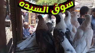 سوق السيده عيشه الجمعه حمام عصافير زواحف