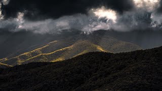 Nature and Ayahuasca with a Massage Therapist - Episode 55