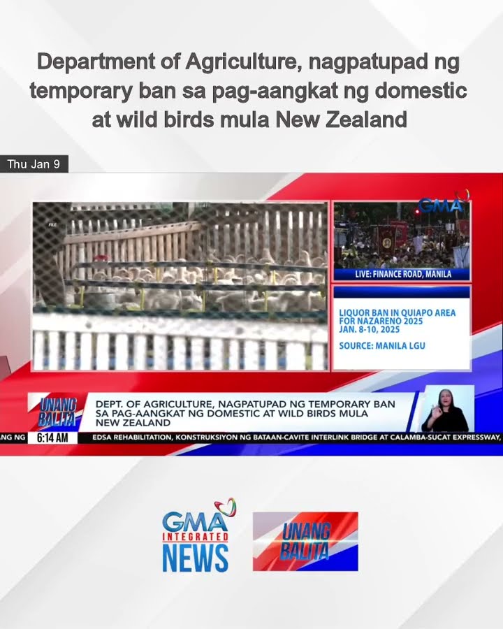 Department of Agriculture, nagpatupad ng temporary ban sa pag-aangkat ng domestic... | Unang Balita