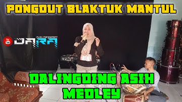 Dalingding Asih ( Euceu Pecut ) // Pongdut Bajidor Medley // Cover Session