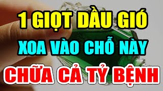 Cảnh Báo: Trước Khi Ngủ CỨ XOA DẦU GIÓ Vào 3 Chỗ Này SẼ NGỦ NGON SỐNG RẤT THỌ, Gan Thận Khoẻ Như Voi