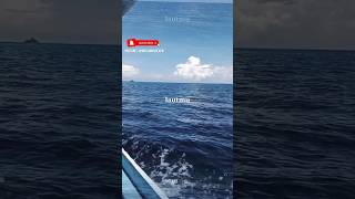 Taffakur  Opick  musikislam masyaallah islam youtubeshort short shorts short langit