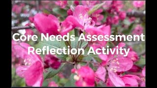 Core Needs Assessment: Reflection Activity