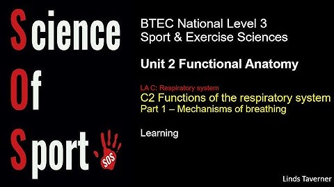 Unit 2 Functional Anatomy - C2 Functions of respiratory system (Part 1) Mechanisms of breathing