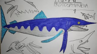 Sound Effects-Protosphyraena