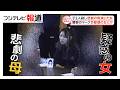 子ども2人殺害…悲劇の母を演じた女【しらべてみたら】