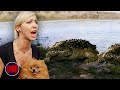 Hungry Crocodiles Eat The Pet Dog Lake Placid 3 2010 Now Scaring 