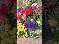 철쭉동산