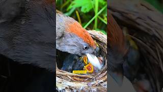 The Only Ones Who Love You The Most Are Always Your Parents.